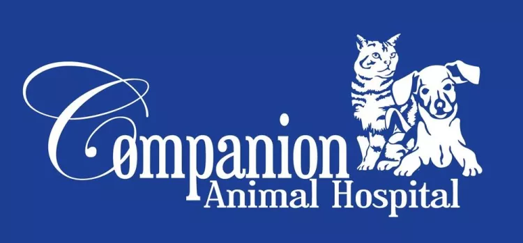 Companion Animal Hospital, Florida, Lakeland